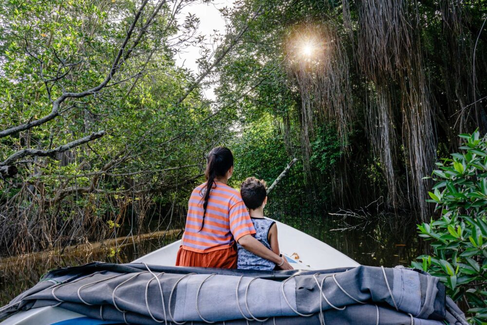 El latido de los bosques sumergidos: cómo la restauración del manglar y la navegación solar transforman la conservación en la Ciénaga Grande de Santa Marta