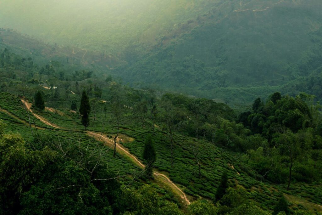 El latido de hierro entre las nubes: El Ferrocarril del Himalaya de Darjeeling