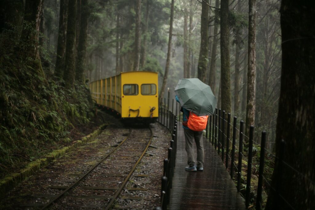 El silencio milenario de los caminos del té en Oolong: ingeniería de bancales y arquitectura de niebla en las montañas de Taiwán