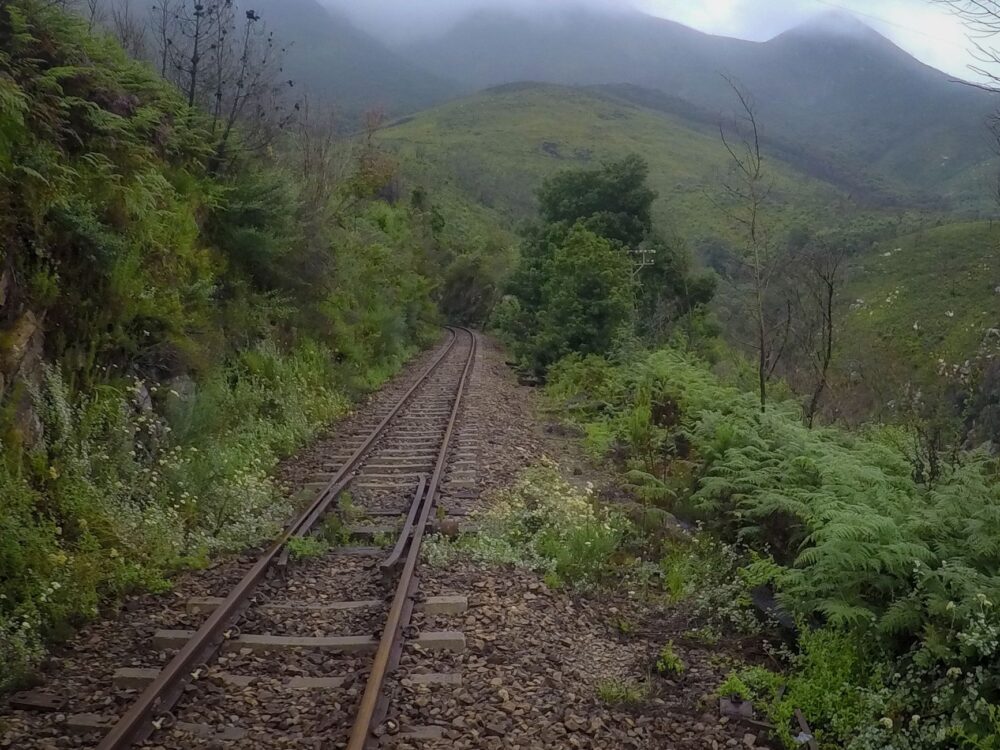 El laberinto ferroviario de las tierras altas de Tasmania: locomotoras patrimoniales, desfiladeros de selva y la frágil conectividad de la línea de West Coast Wilderness