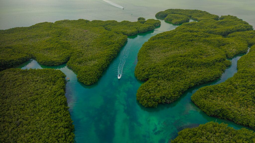 La Travesía del Archipiélago de las Bocas del Toro en Catamarán: Guía de Navegación y Logística Marina por el Laberinto Caribeño de Panamá