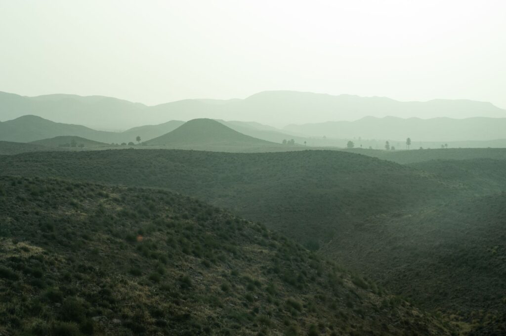 El latido de los bancales de olivar: cómo la agricultura regenerativa y los senderos de piedra seca transforman la conservación en la Sierra de Aracena
