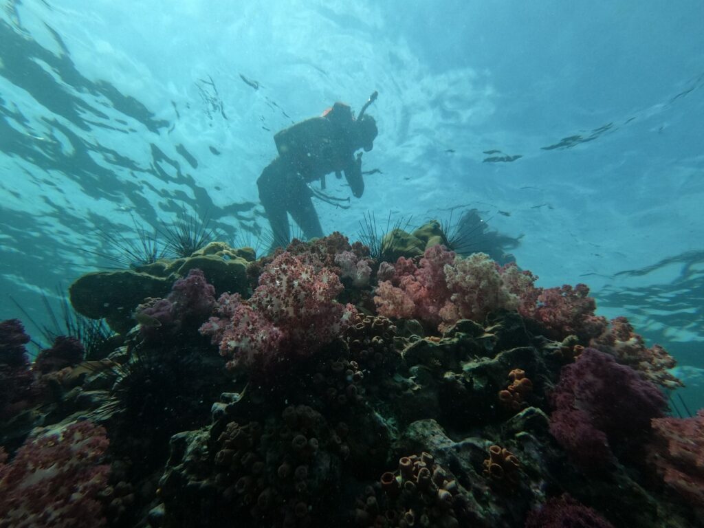 Malta acoge la vigésima sexta Cumbre Global del WTTC: El desafío de repensar la aviación y el turismo sostenible