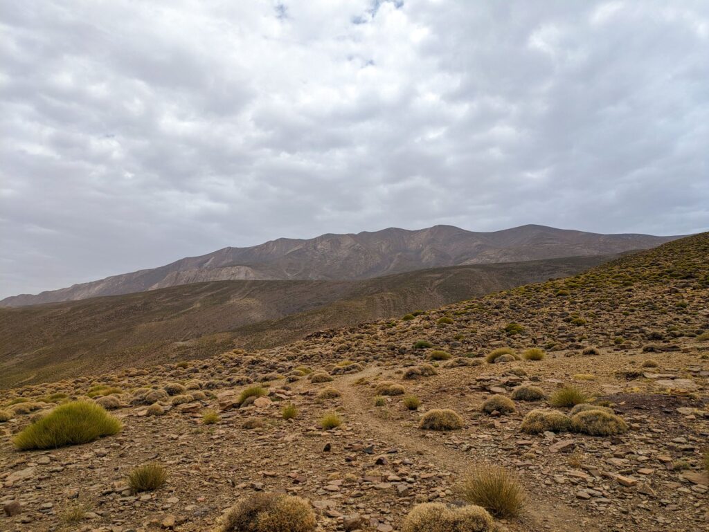 Las cumbres de Hatta y el pulso verde: el nuevo horizonte de los EAU más allá del asfalto