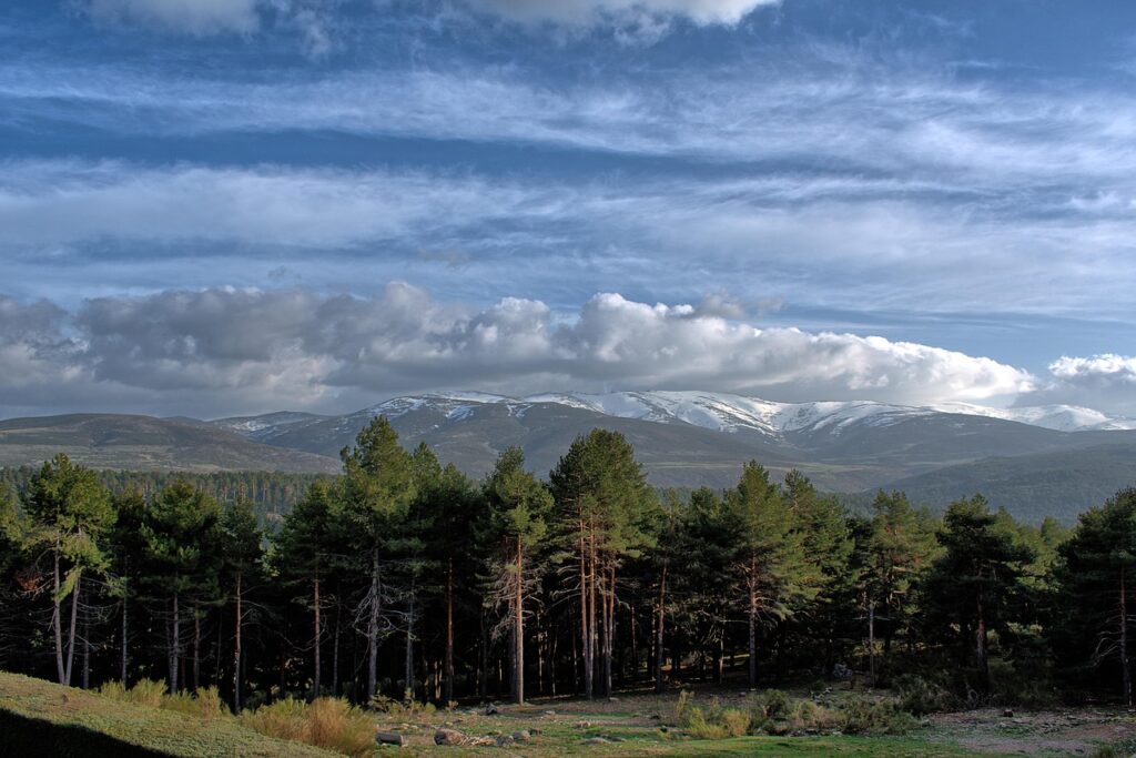 El refugio de la liebre de matorral en los páramos de Gredos: ecología rupícola y conservación en el macizo abulense