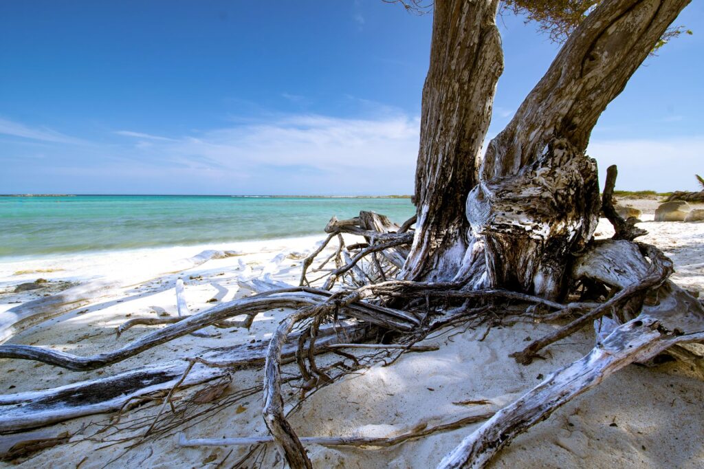 Aruba Global Travel Conference 2026: El nuevo paradigma del turismo hacia el valor frente al volumen