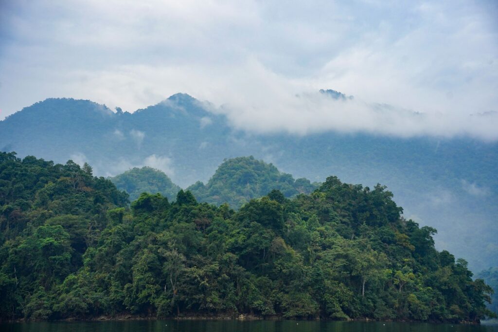 El Ferrocarril del Pacífico Colombiano: Ingeniería de selva, logística andina y la conectividad ferroviaria hacia el mar de Balboa