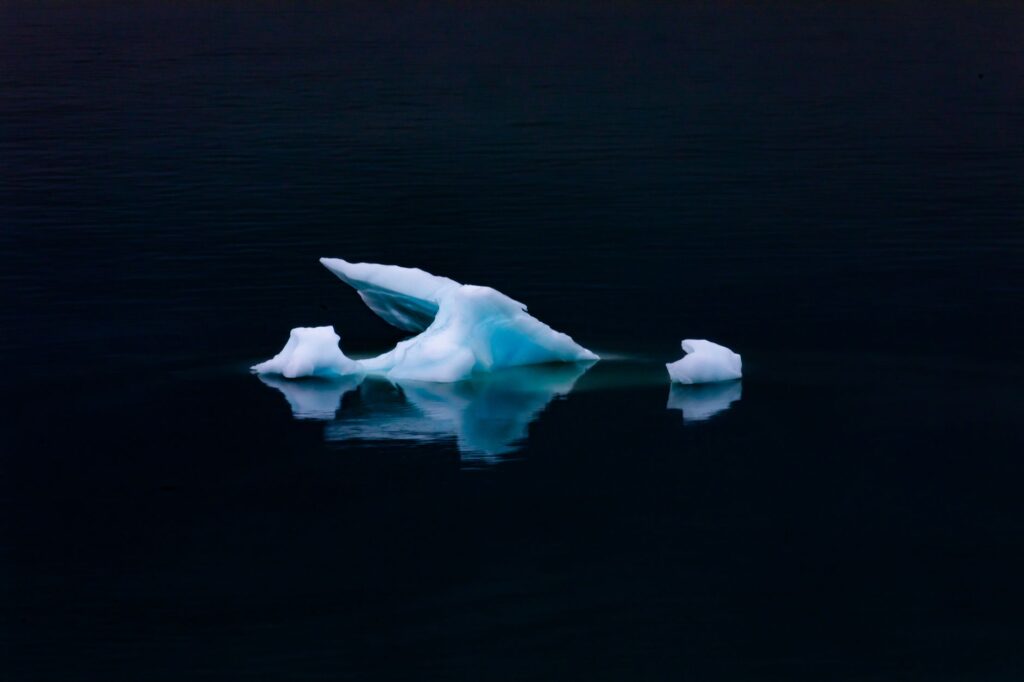 El Santuario Submarino del Mar de Ross: Aislamiento Austral, Dinámicas de Hielo Marino y Conservación en el Océano Antártico
