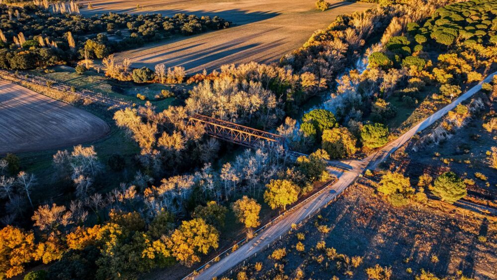 El Ferrocarril Austral: Ingeniería esteparia, logística patagónica y conectividad ferroviaria histórica entre Viedma y San Carlos de Bariloche