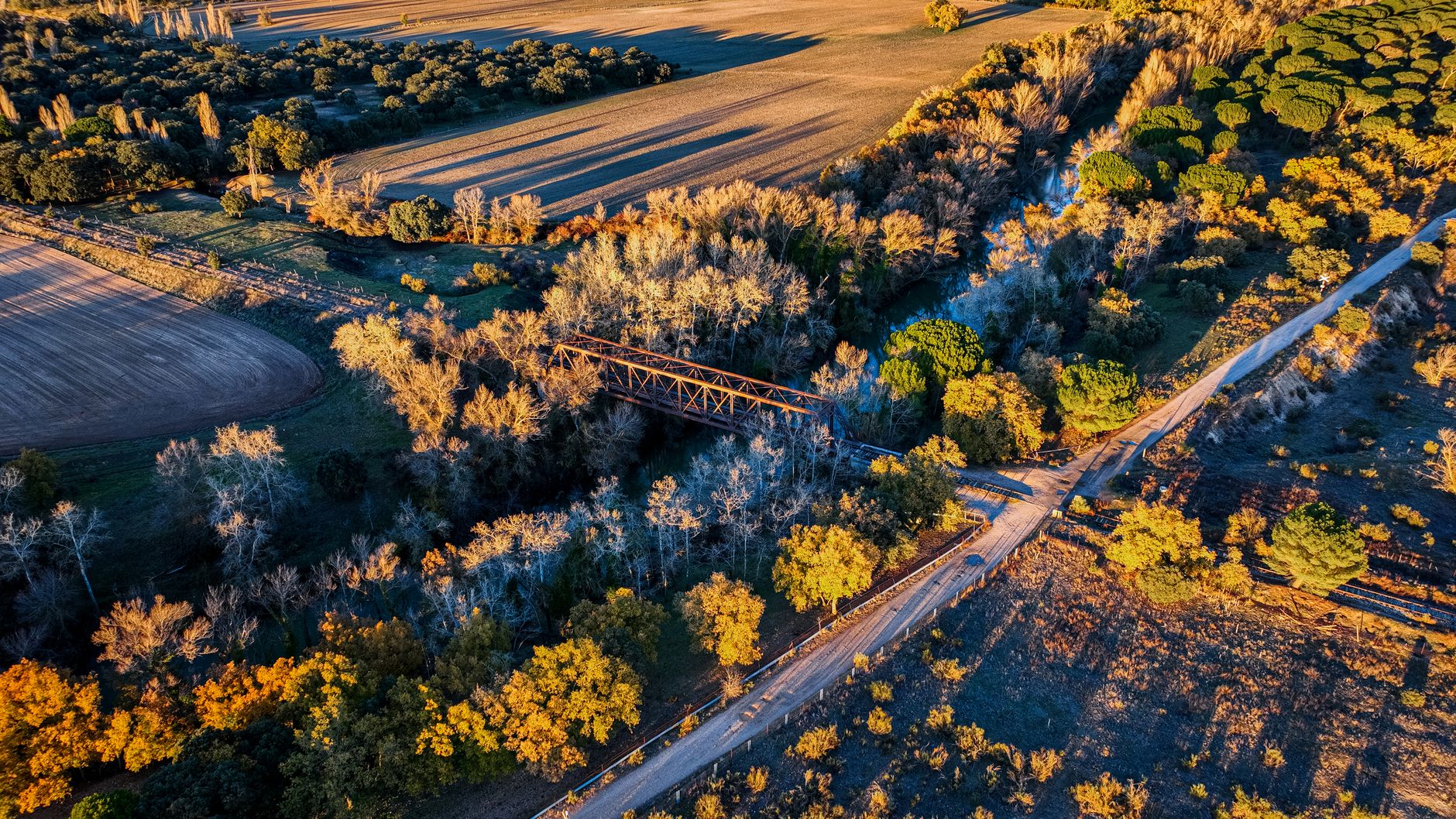 El Ferrocarril Austral: Ingeniería esteparia, logística patagónica y conectividad ferroviaria histórica entre Viedma y San Carlos de Bariloche