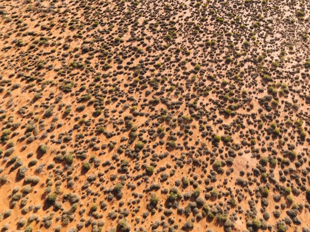 El latido de hierro del Outback: Una travesía de tres mil kilómetros a bordo de El Ghan