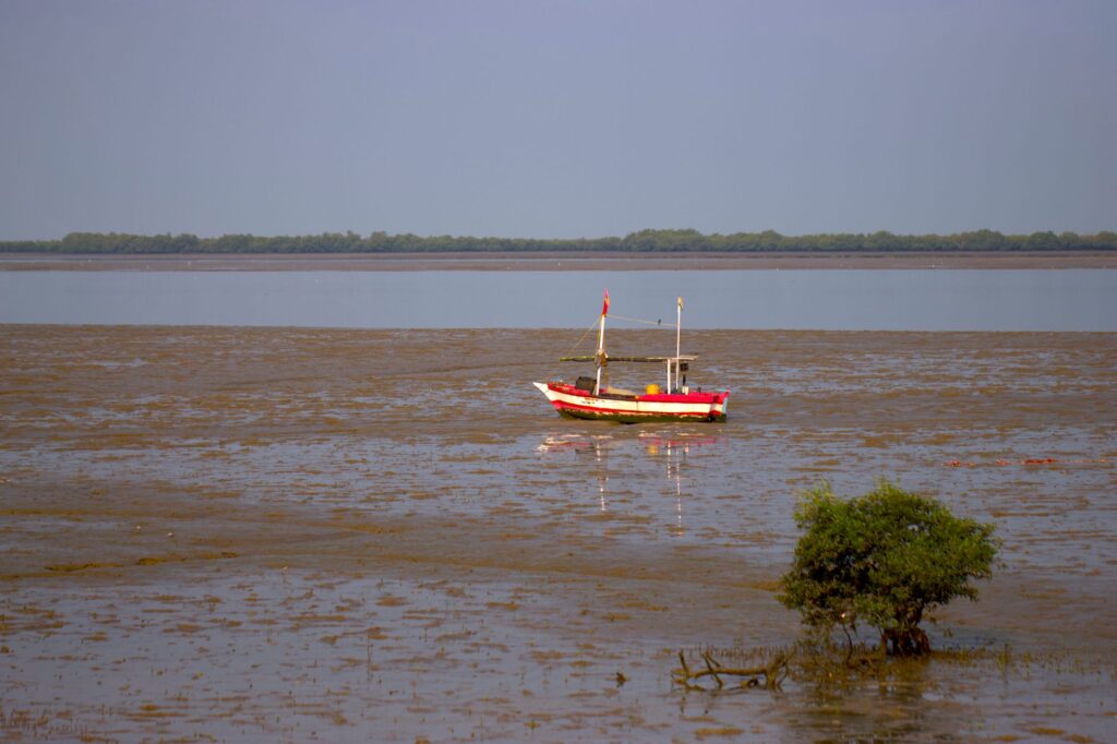 El laberinto de marea de las islas Tiwi: Conectividad marítima, aerolíneas comunitarias y la odisea logística en el mar de Arafura