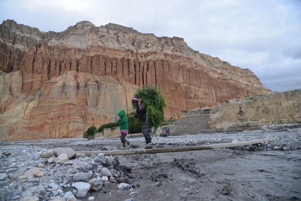 El latido de los páramos andinos: cómo la restauración de bofedales y la gobernanza comunitaria transforman la conservación en el Parque Nacional Sangay