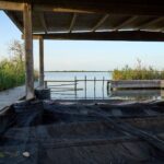 El laberinto intermodal del delta del río Niger: Flechas fluviales, barcazas de cabotaje y la frágil conectividad de los manglares nigerianos