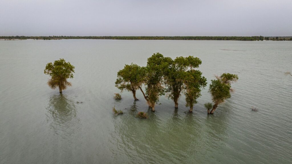El laberinto del Níger central: piraguas de madera, barcazas de cabotaje y la frágil conectividad fluvial de un confín maliense