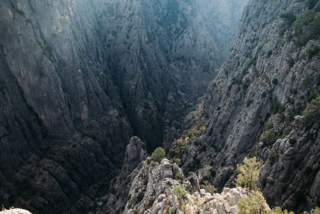 El refugio del alimoche en las hoces del alto Eria: ecología rupícola y conservación en los cañones leoneses