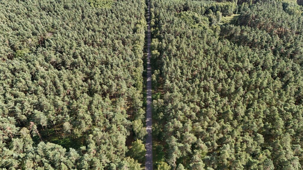 El silencio milenario de la Ruta del Ámbar: navegación fluvial y arquitectura de madera en los canales de Masuria