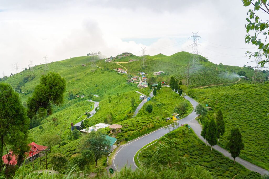 El Tren de las Plantaciones de Darjeeling: Ingeniería de vapor, logística de montaña y la conectividad ferroviaria hacia el Himalaya indio