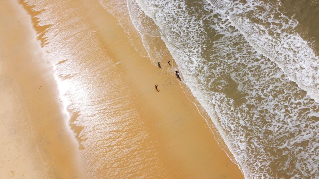 El Santuario Submarino del Mar de los Sargazos: Océanos Abiertos, Biodiversidad Flotante y Conservación en el Atlántico Norte
