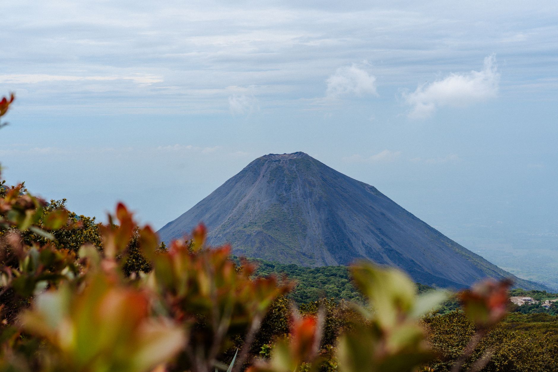 El triunfo silencioso de Costa Rica: más allá del marketing verde en el escenario británico