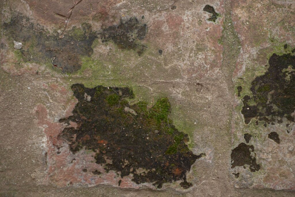 La Travesía del Sendero Costero de Cape Wrath en Escocia: Guía de Expedición y Senderismo por los Acantilados Salvajes del Atlántico Norte