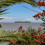 El refugio del delfín rosado en la Reserva Nacional Pacaya Samiria: ecología fluvial y conservación en la Amazonía peruana