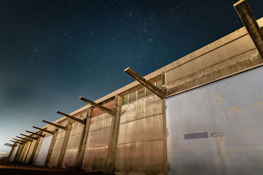 Bajo la Vía Láctea de Chiba: La inmersión nocturna que redefine el vínculo entre cetáceos y humanos en Kamogawa