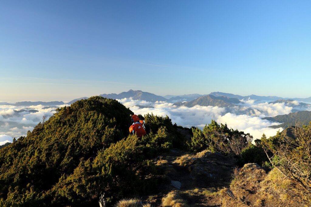 El silencio milenario de los caminos del té en Oolong: ingeniería de bancales y arquitectura de niebla en las montañas de Taiwán