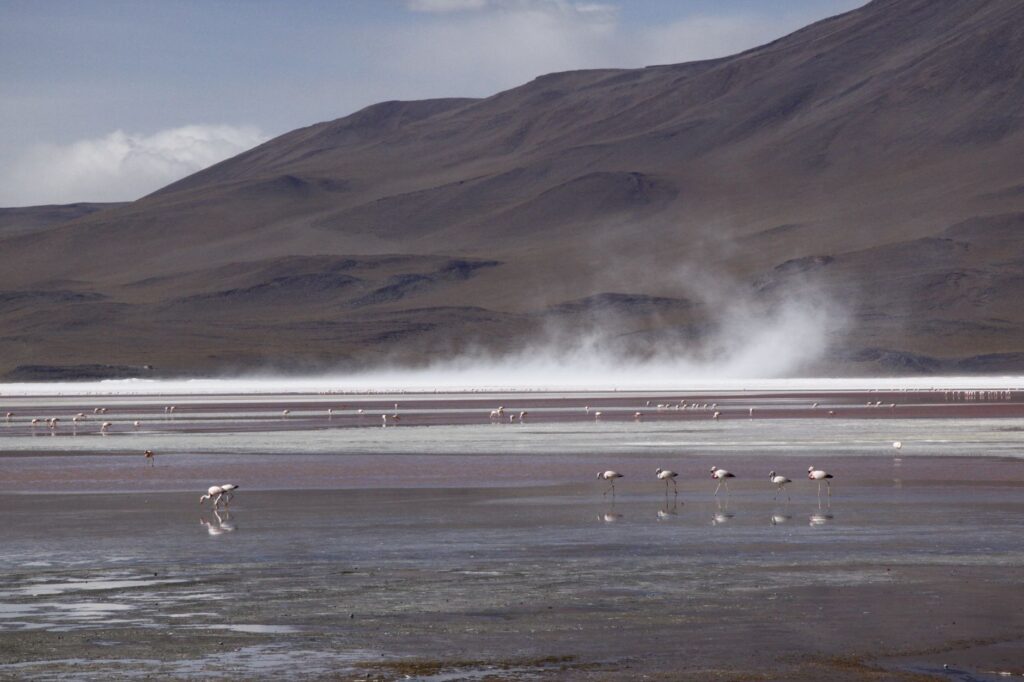 El Tren del Altiplano: Ingeniería, Conectividad y el Desafío Logístico de la Ruta Oruro-Villazón