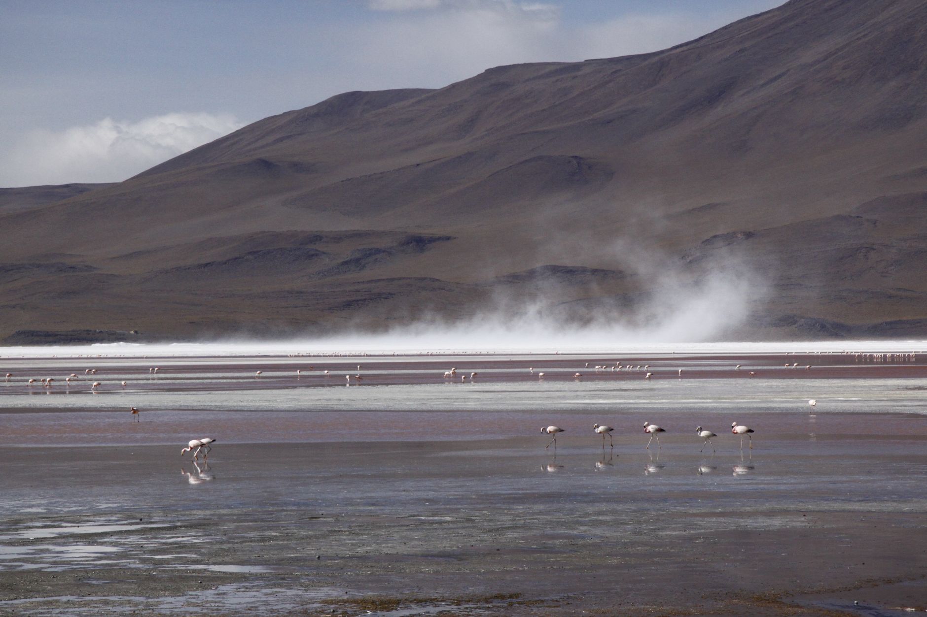 The Altiplano Train: Engineering, Connectivity, and the Logistical Challenge of the Oruro-Villazón Route