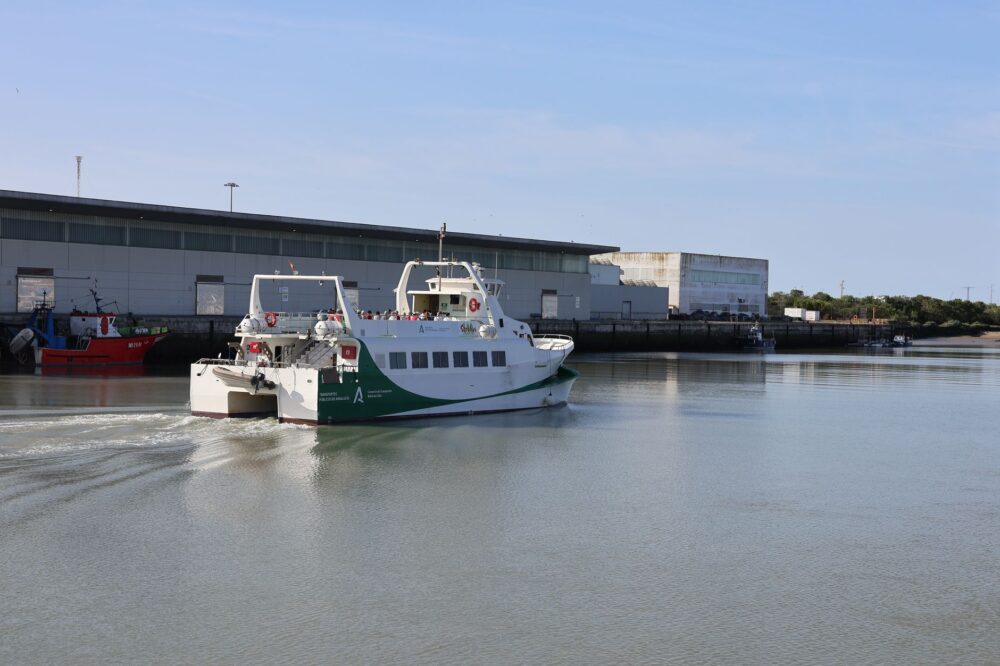 El laberinto intermodal del estrecho de Bass: Transbordadores de alta mar, pistas de grava batidas por el viento y la frágil conectividad de las islas Furneaux