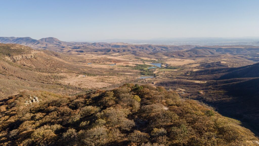 Zarza de Granadilla: un pueblo vaciado, perrunillas y un restaurante con estrella