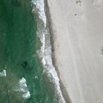 El refugio de la tortuga laúd en la costa de Michoacán: oceanografía, corrientes costeras y conservación en las playas de Mexiquillo