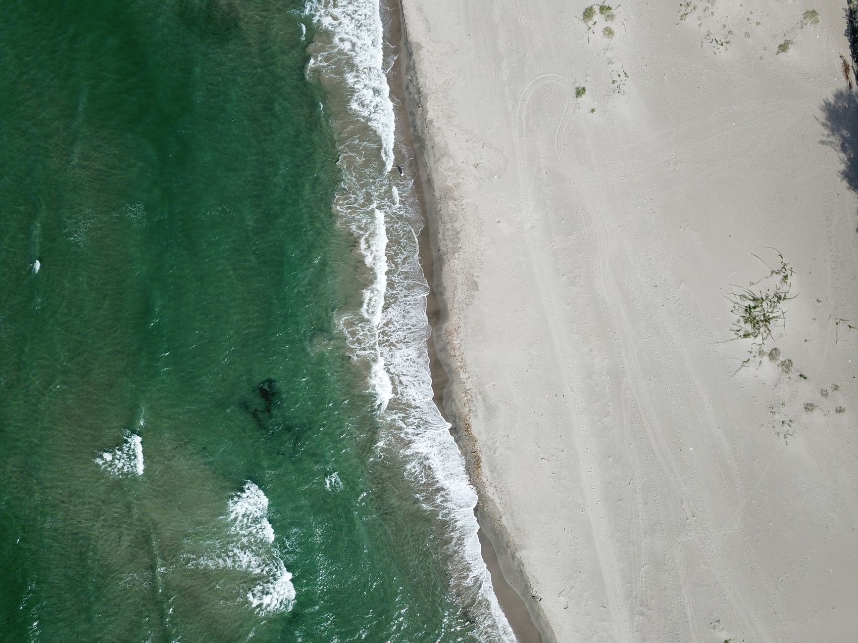 El refugio de la tortuga laúd en la costa de Michoacán: oceanografía, corrientes costeras y conservación en las playas de Mexiquillo