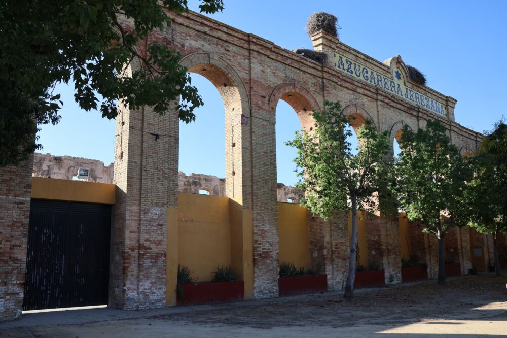 El laberinto ferroviario de la alta meseta: cremalleras, pendientes extremas y la frágil conectividad transandina en el sur del continente