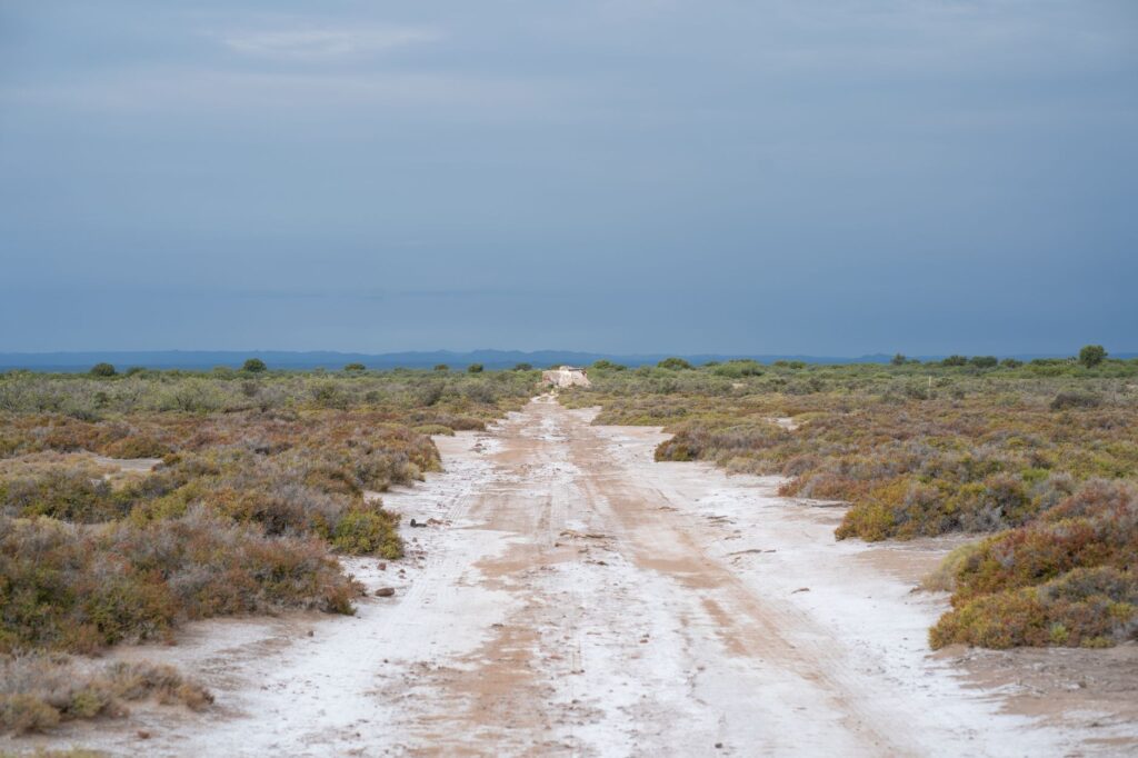 Torrevieja ante el espejo del Día Mundial del Turismo: repensar el litoral entre sal, lagunas y sostenibilidad