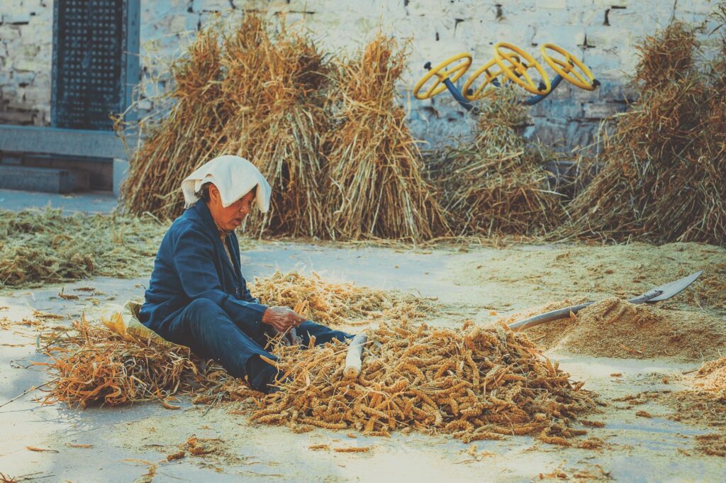 Luna de la cosecha 2026: bienvenido, otoño