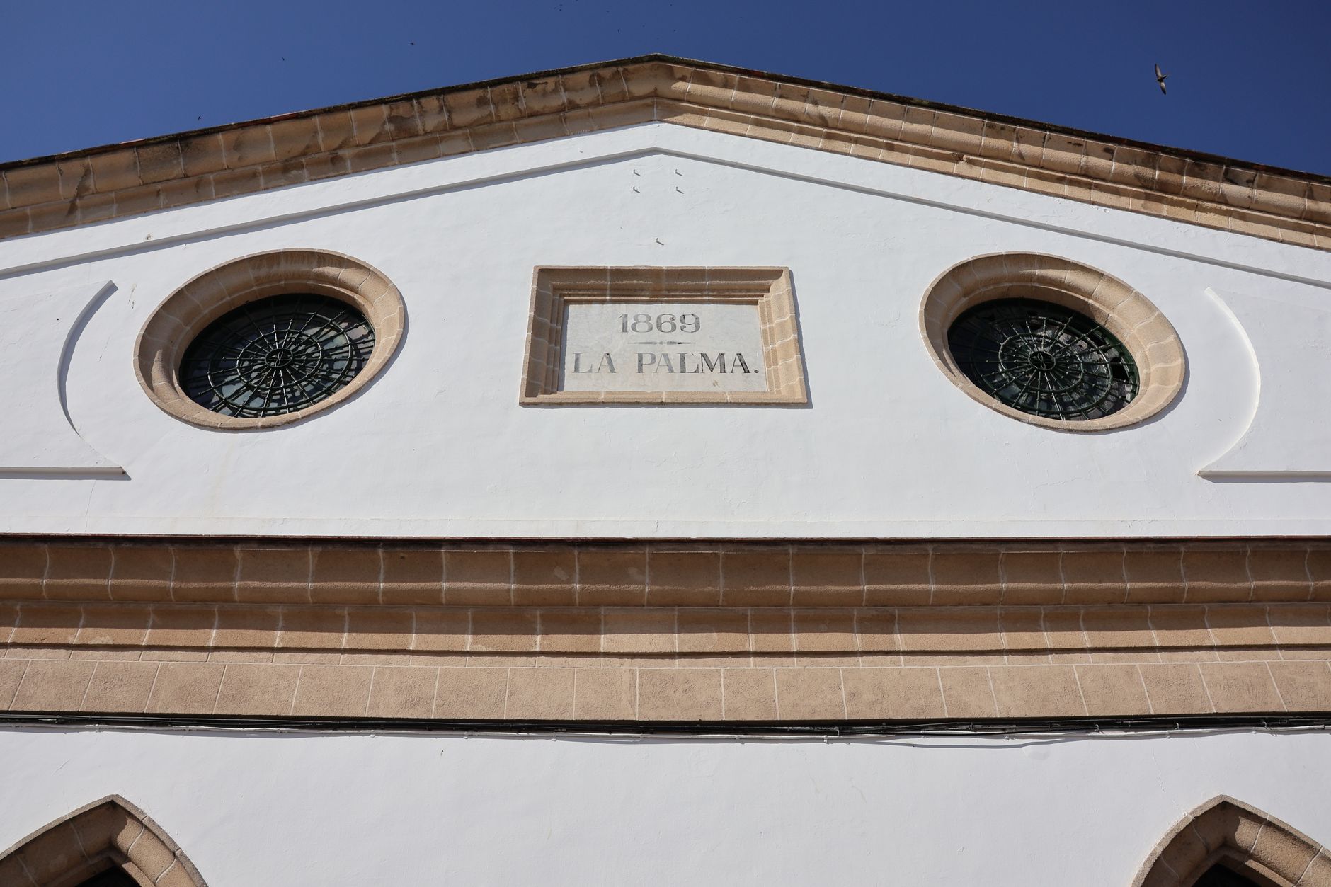 El secreto de la sal y el estero: la liturgia del Mercado Central de Cádiz y los tesoros de la Bahía