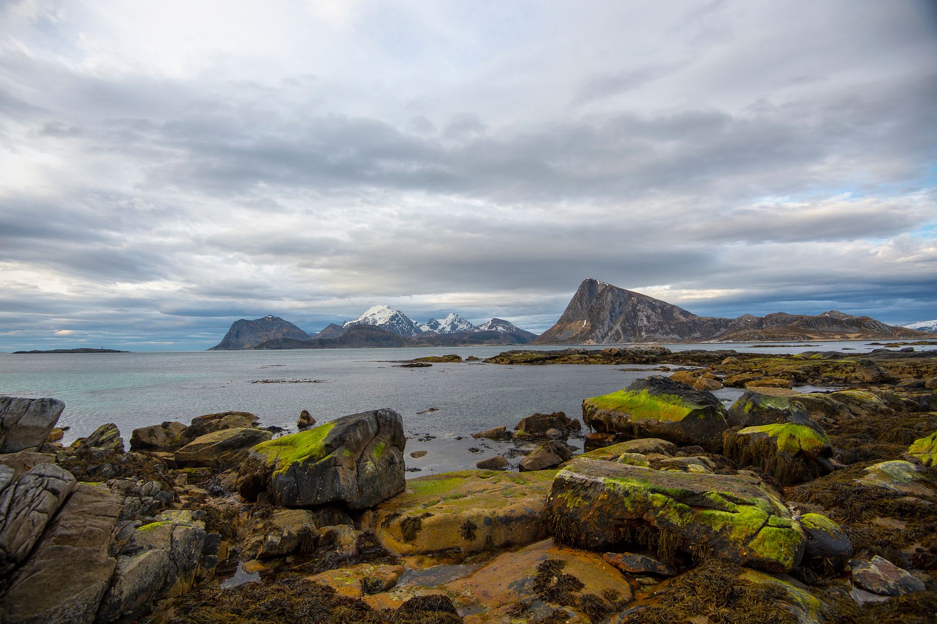 La Conectividad Marítima del Archipiélago de Lofoten: Ingeniería, Cabotaje y el Desafío Logístico del Mar de Noruega
