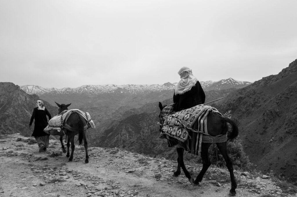 El latido mineral del Atlas de Marrakech: Logística de mulas, pistas de altura y la conectividad bereber en el Toubkal