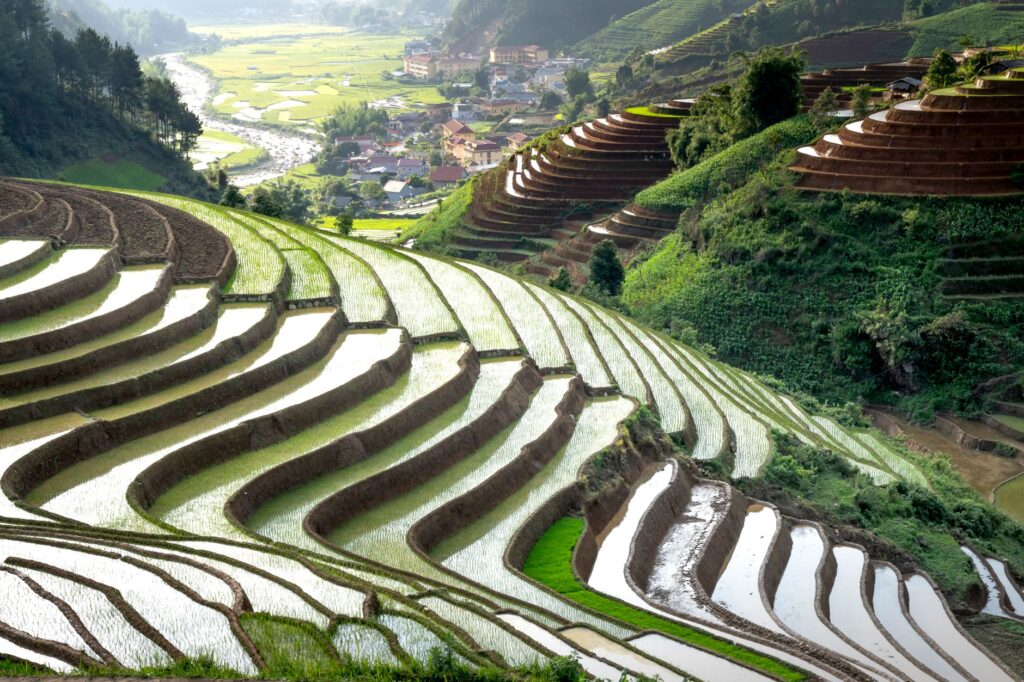 El renacer del bienestar en Vietnam: una travesía por la sanación y el lujo consciente