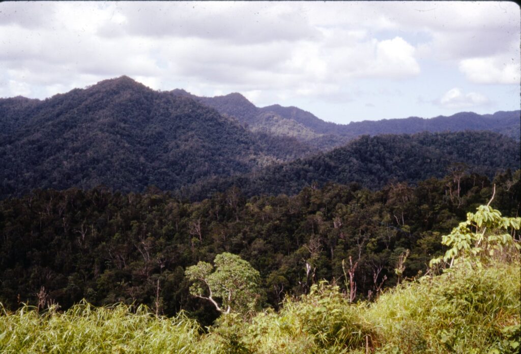 El Ferrocarril Transsumatrano: Ingeniería tropical, logística de plantaciones y la conectividad ferroviaria histórica hacia el corazón de Indonesia