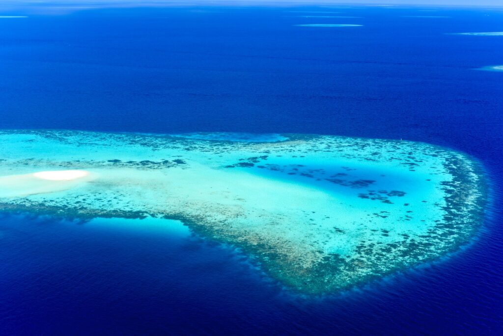 El Santuario Submarino de Tubbataha: Arrecifes Remotos, Biodiversidad Marina y Conservación en el Mar de Sulu