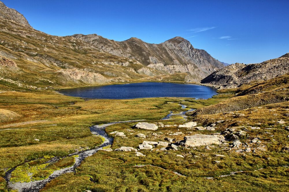 El latido secreto de las turberas de altitud: ecología y conservación en el macizo de Vanoise