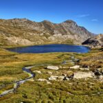 El latido secreto de las turberas de altitud: ecología y conservación en el macizo de Vanoise