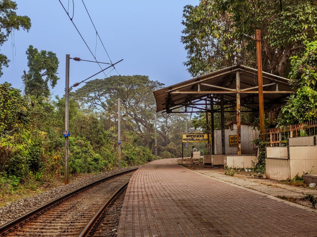 El laberinto de la trocha y la bruma: la odisea logística del tren de Outeniqua Choo Tjoe en Sudáfrica