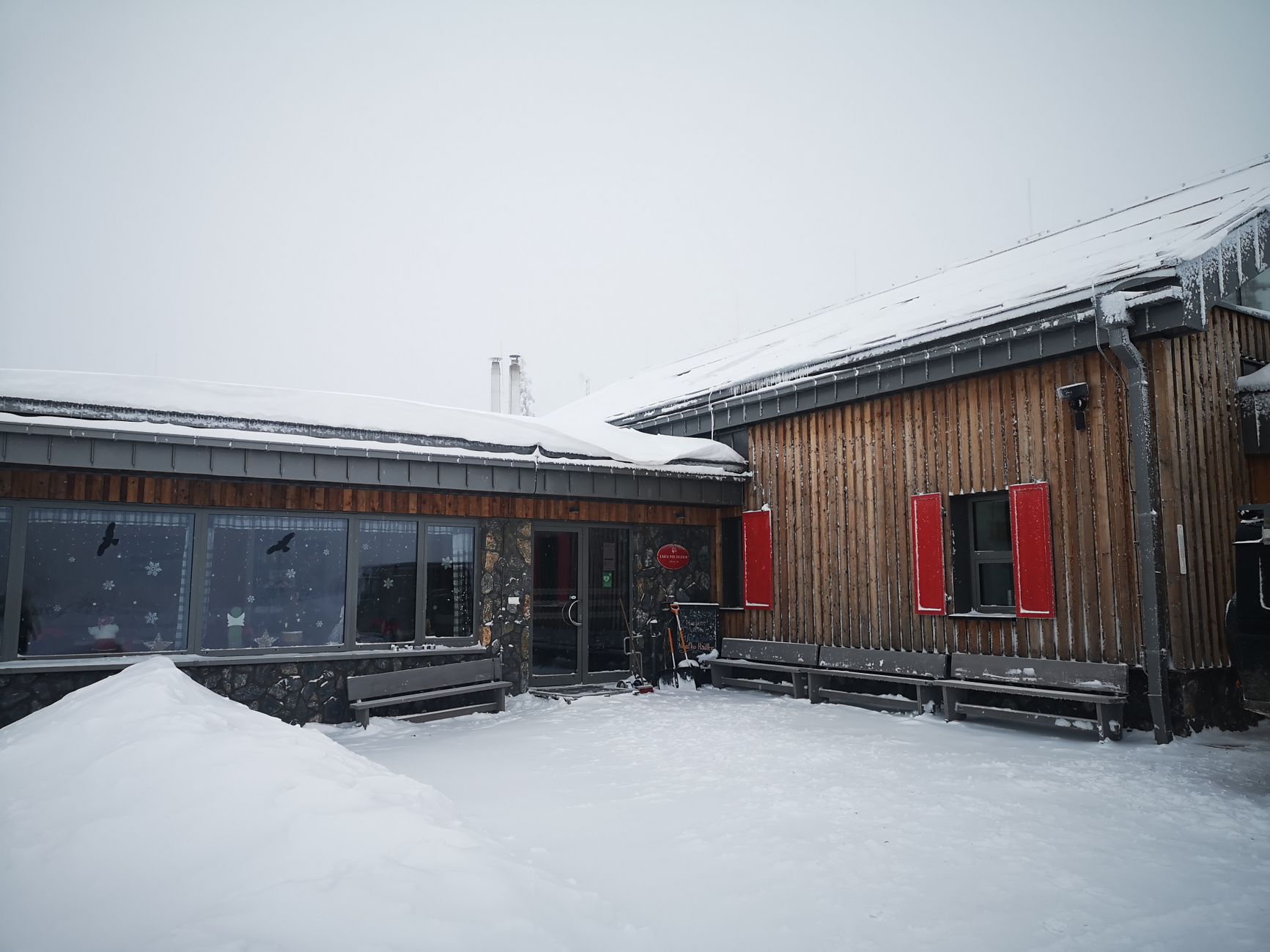 El refugio de la liebre de ventisquero en los Altos Tatras: biología, adaptación nival y conservación en las cumbres de Eslovaquia