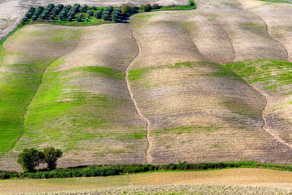 El Renacimiento de los Molinos de Viento en La Mancha: Ingeniería, Patrimonio y Paisaje Literario