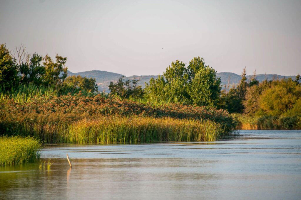 Navegar el Nilo Azul: Conectividad fluvial, barcos históricos y la ruta vital entre Jartum y el norte de Sudán