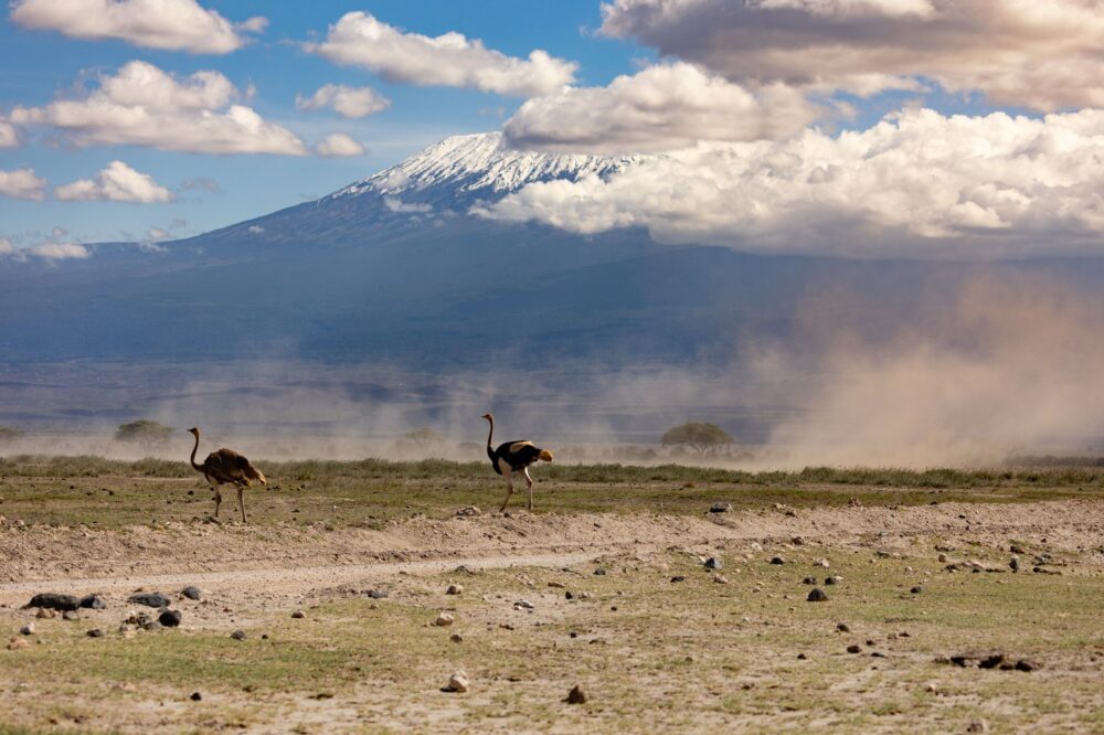 Kenia